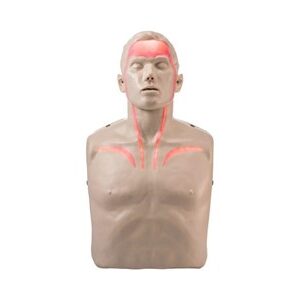 Test dummy